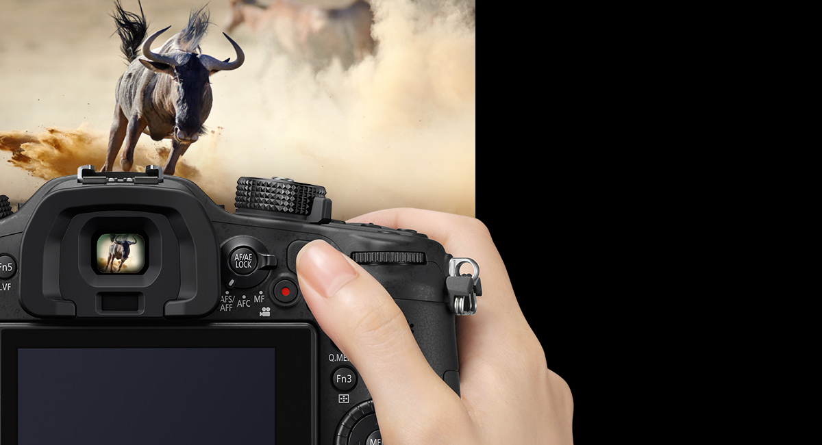 Deux écrans OLED - LVF et moniteur