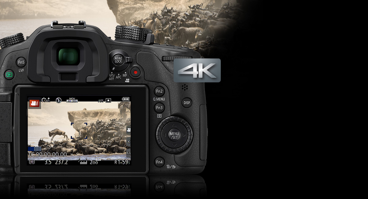 Création vidéo de qualité professionnelle