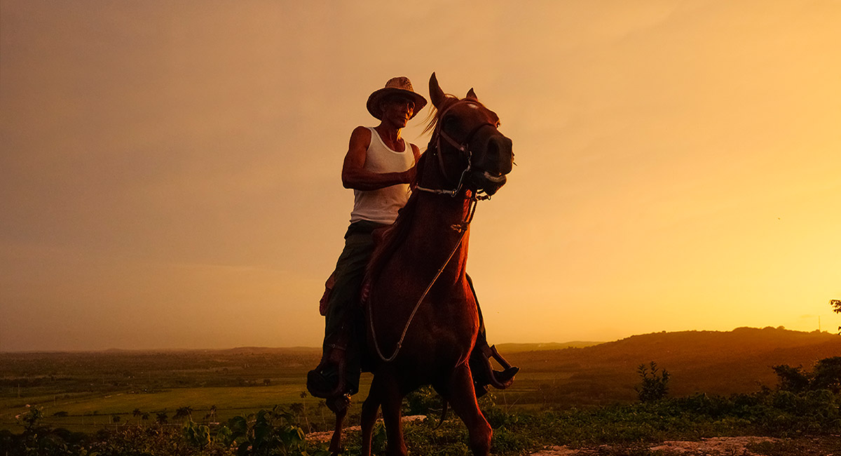 Capteur Live MOS 20,3 MP