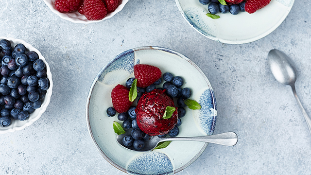 Lasciati ispirare - Slow Juicer MJ-L500 