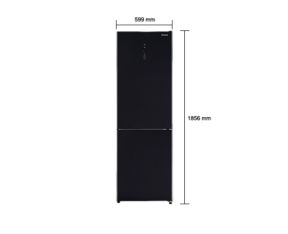 NR-BN30QGB-B Fridge-Freezer 