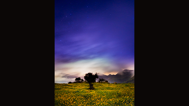 Soyez inspirés - Appareil photo hybride DC-GH5S