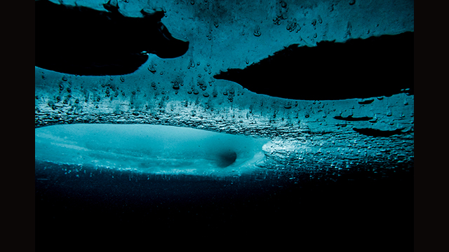 Soyez inspirés - Appareil photo hybride DC-GH5S