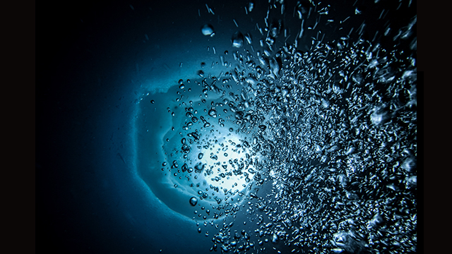 Soyez inspirés - Appareil photo hybride DC-GH5S