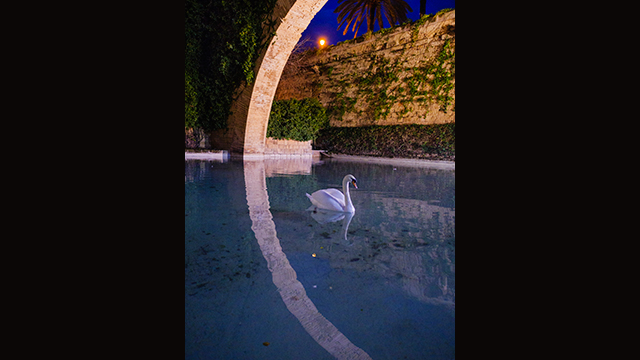 Soyez inspirés - Appareil photo hybride DC-GH5S