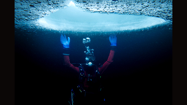 Soyez inspirés - Appareil photo hybride DC-GH5S