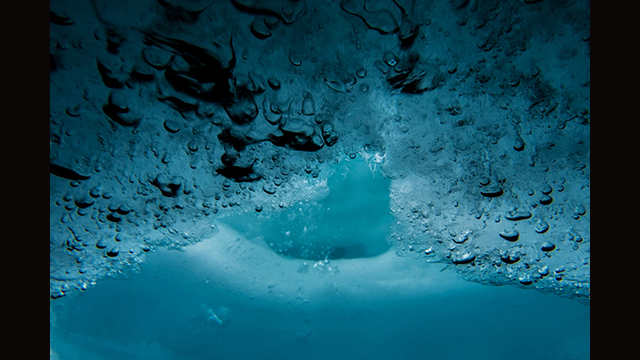 Soyez inspirés - Appareil photo hybride DC-GH5S