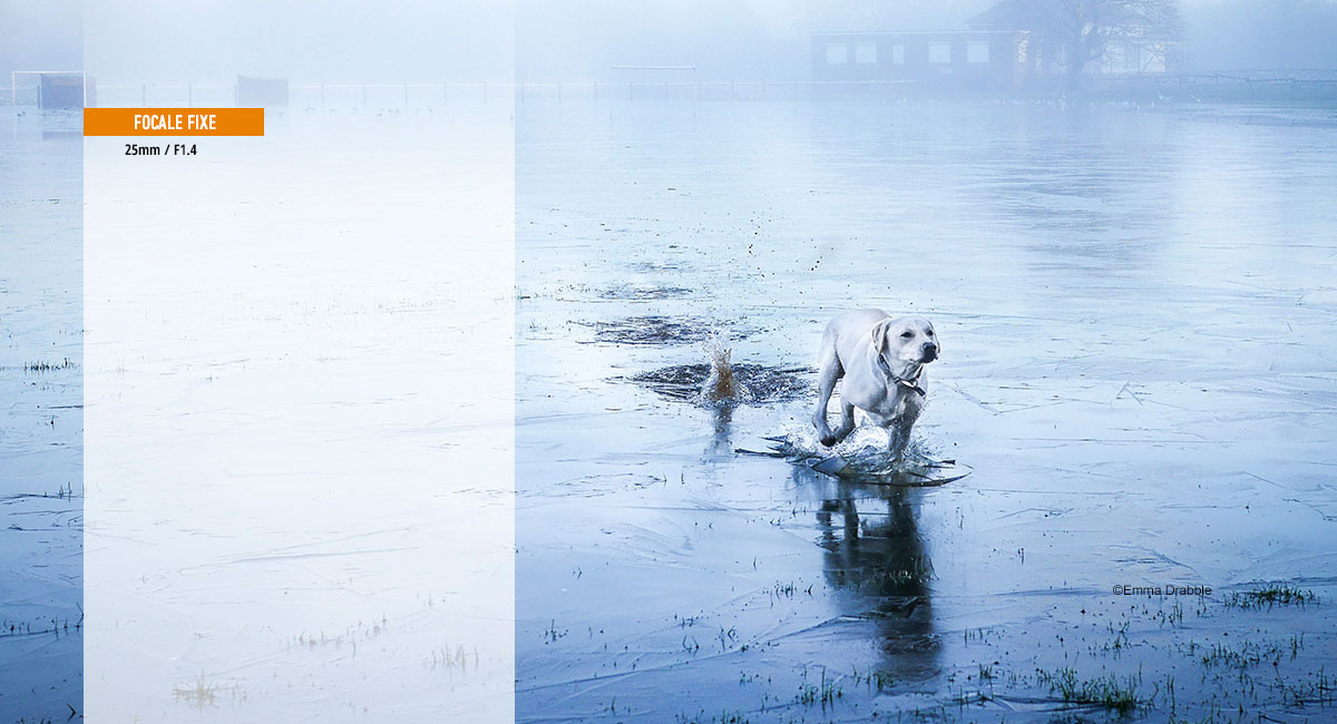 Mise au point douce exceptionnelle 