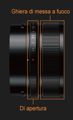 Finalità di sviluppo