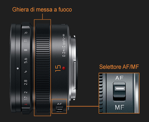 Finalità di sviluppo