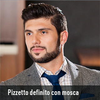 Pizzetto definito con mosca
