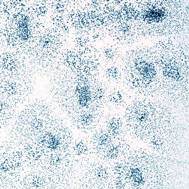 يمنع نمو العفن