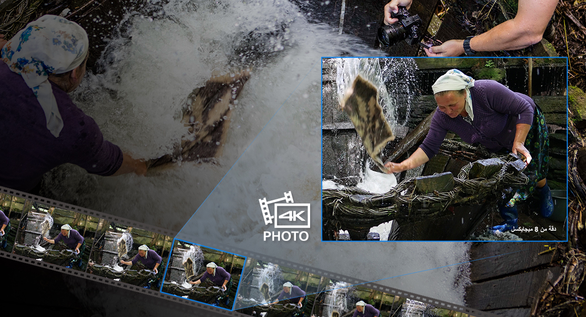 لا تفوّت اللقطة المثالية