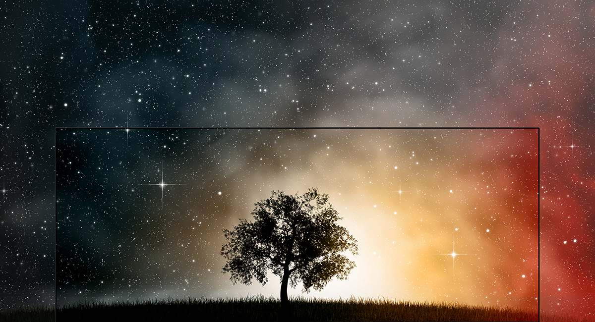 تصميم بلا حدود