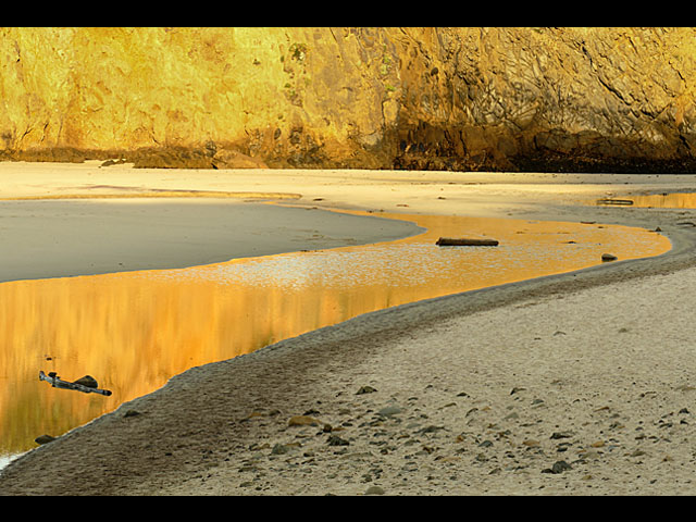 المعرض الخاص بكاميرا LUMIX DMC-FZ1000