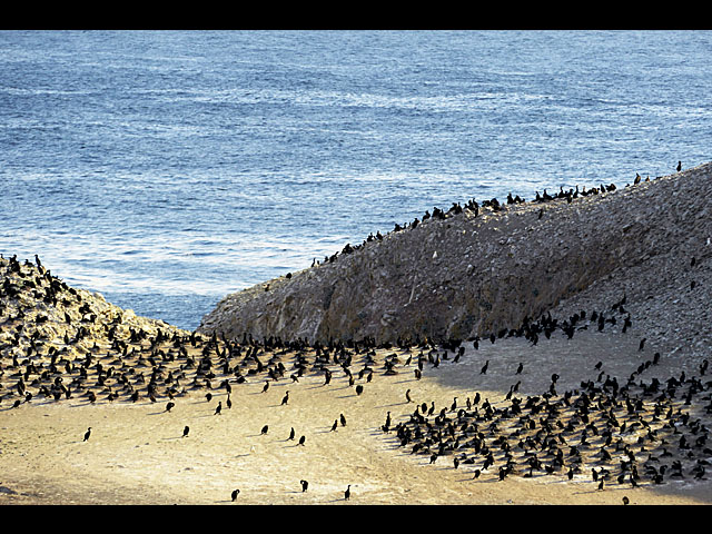 المعرض الخاص بكاميرا LUMIX DMC-FZ1000
