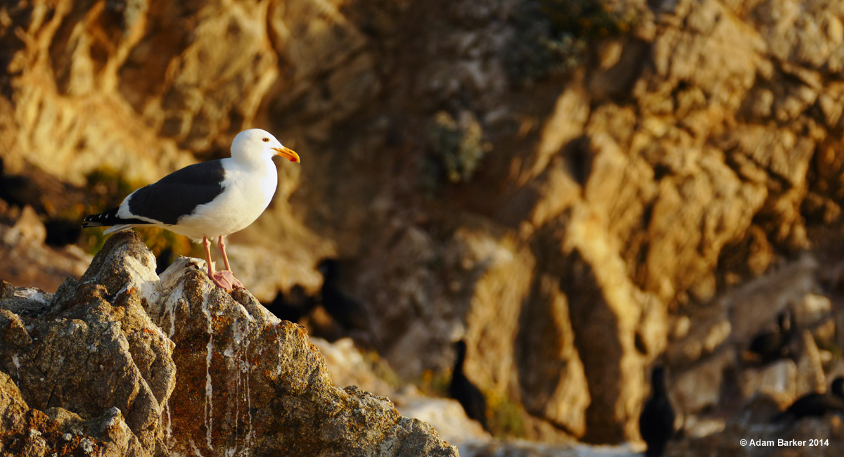 التقاط صور تترك انطباعات مذهلة