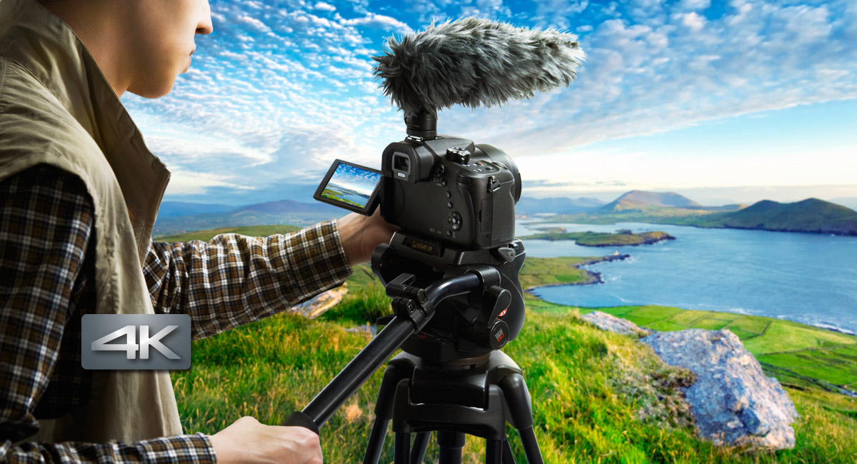 حركة نابضة بالحياة وواقعية