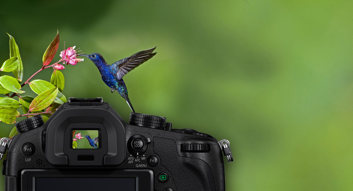 مستكشف العرض المباشر OLED بمعدل 2359k نقطة / شاشة LCD بزاوية حرة