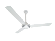 Photo of Decorative Ring Series