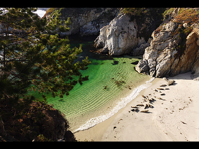 LUMIX DMC-FZ1000 SPECIAL GALLERY