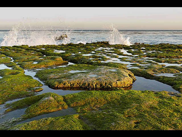 LUMIX DMC-FZ1000 SPECIAL GALLERY