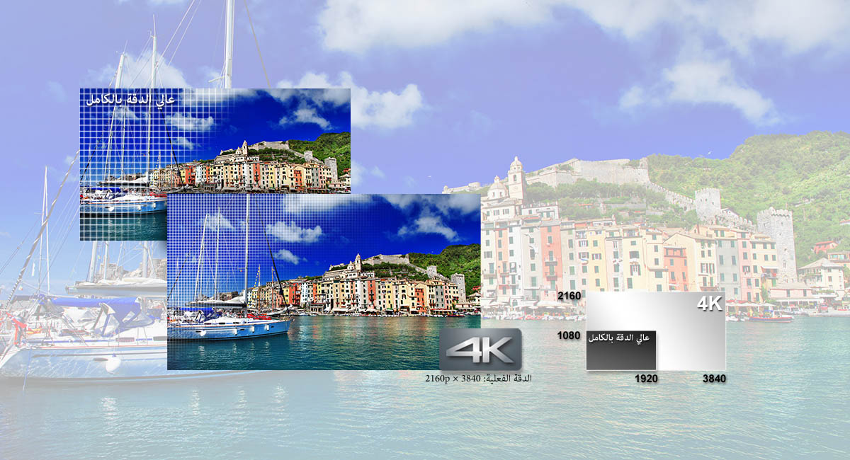 فيديو بتنسيق 4K. الحياة بأبهى تفاصيلها
