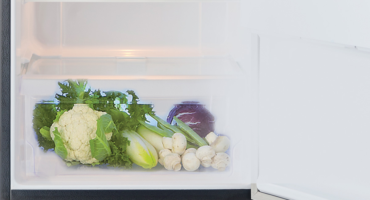 Jumbo Vegetable Case