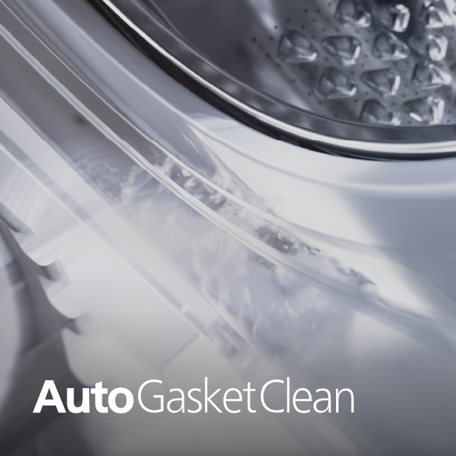 Auto Door Gasket Cleaning