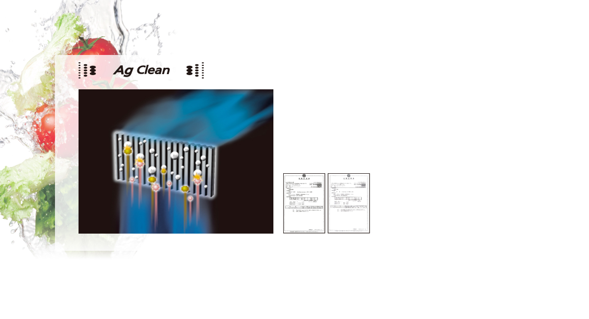 Anti-Bacterial and Deodorizing