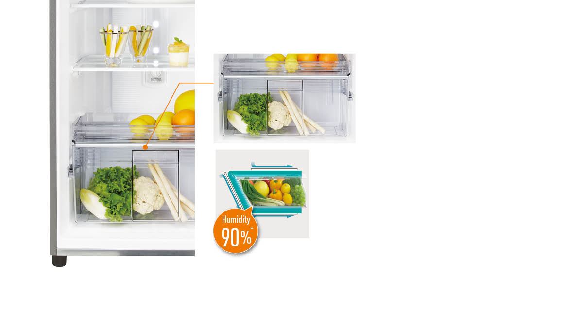 Fresh Safe Vegetable Case