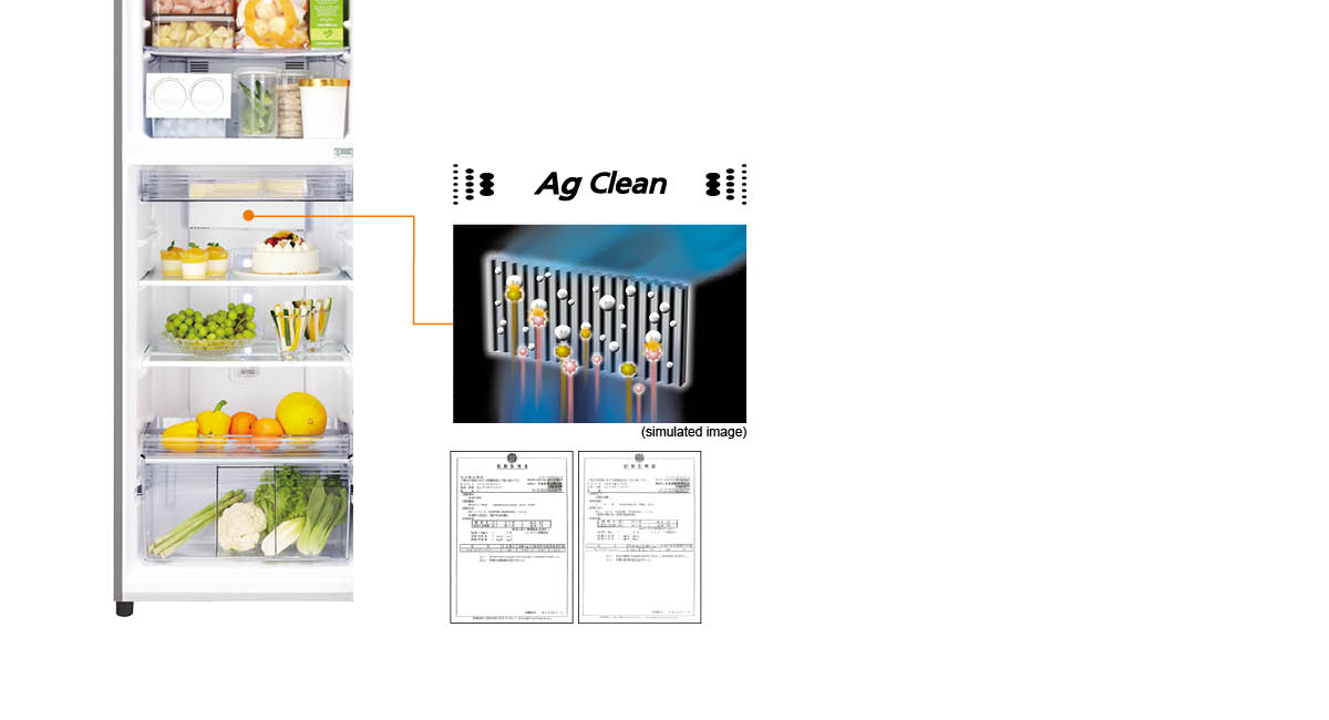 Anti-Bacterial and Deodorizing