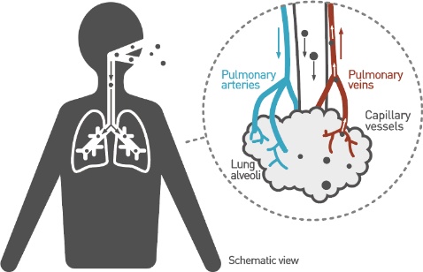 image：Since children have immature lungs, they are easily affected by air quality.
