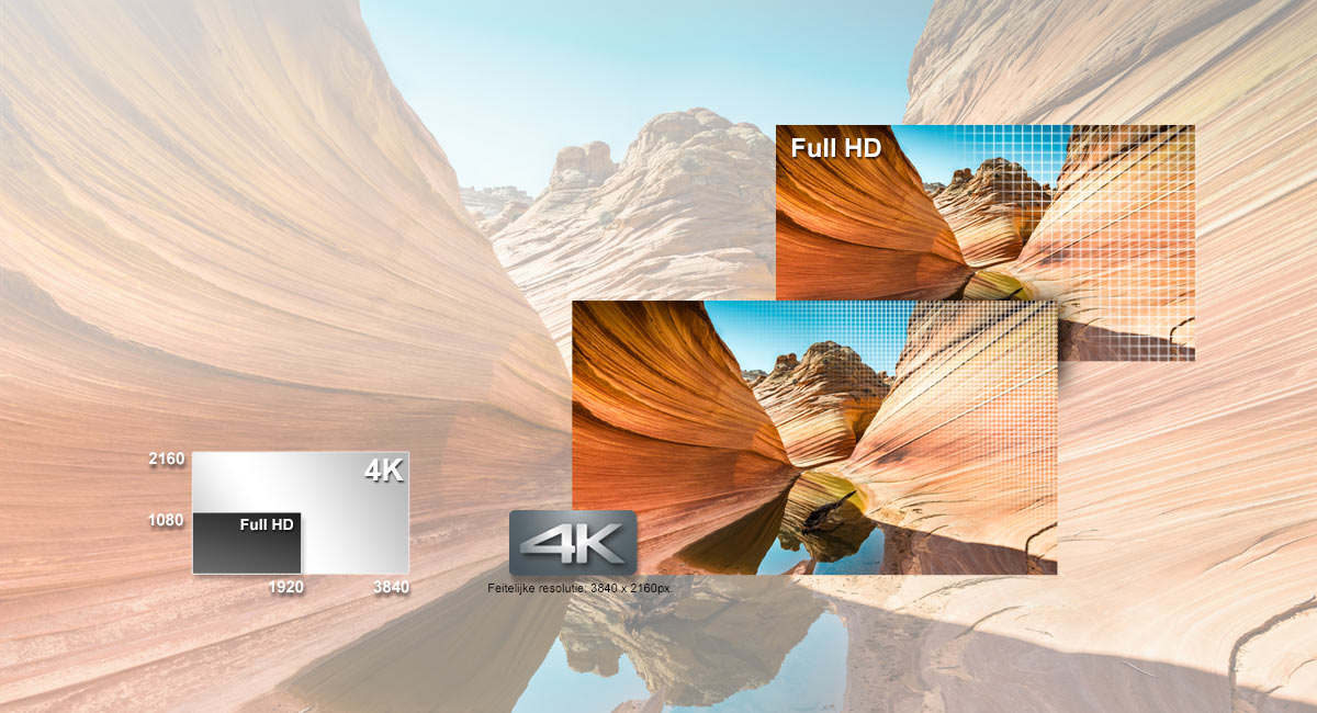 4K Video. Het leven in levendige details
