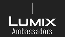 Ambassadors Profile