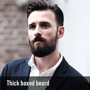 Thick boxed beard