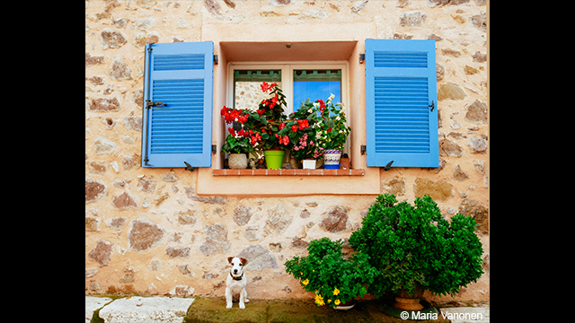 Get Inspired - LUMIX Digital Single Lens Mirrorless Camera DC-GX850