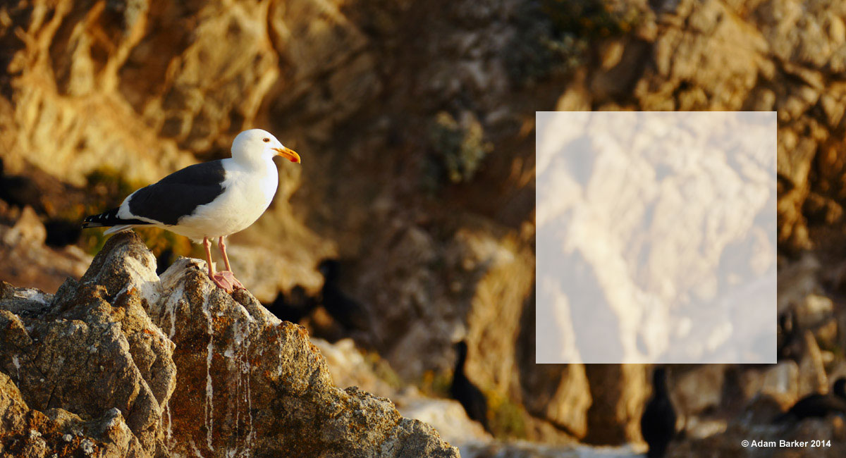 Capture Subtle Impressions