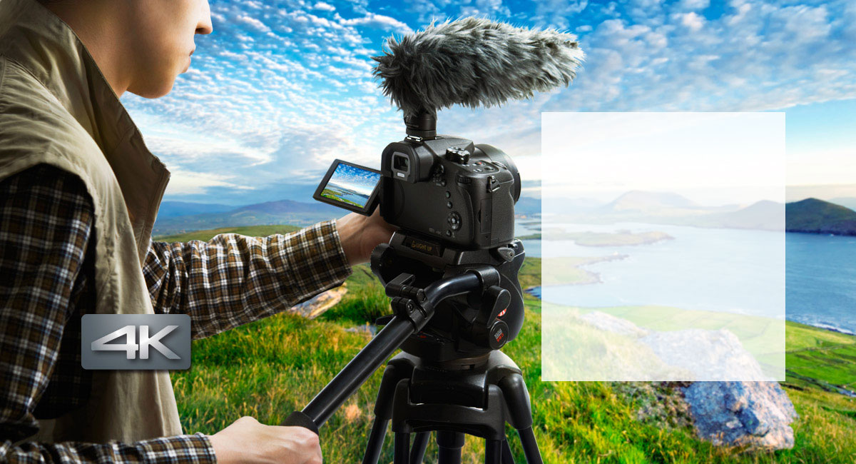 Vibrant, Realistic Motion