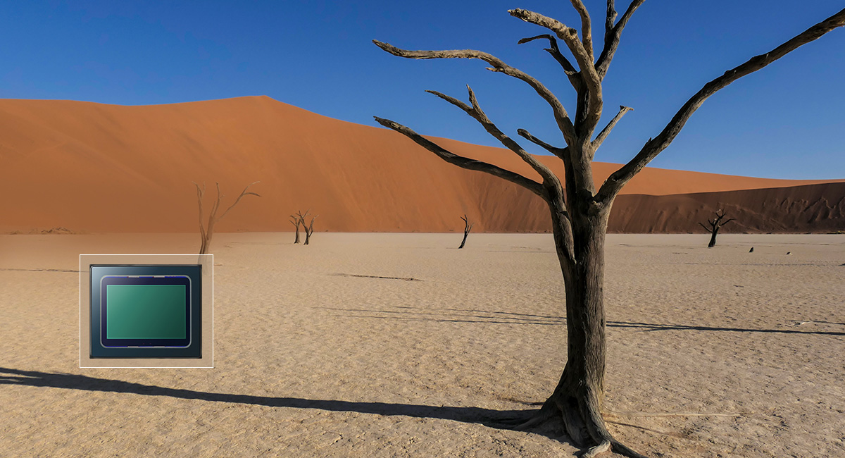 Large 1-Inch 20.1 Megapixel Sensor