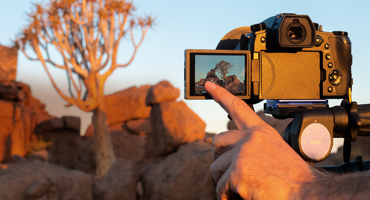 Perfect View and manual control