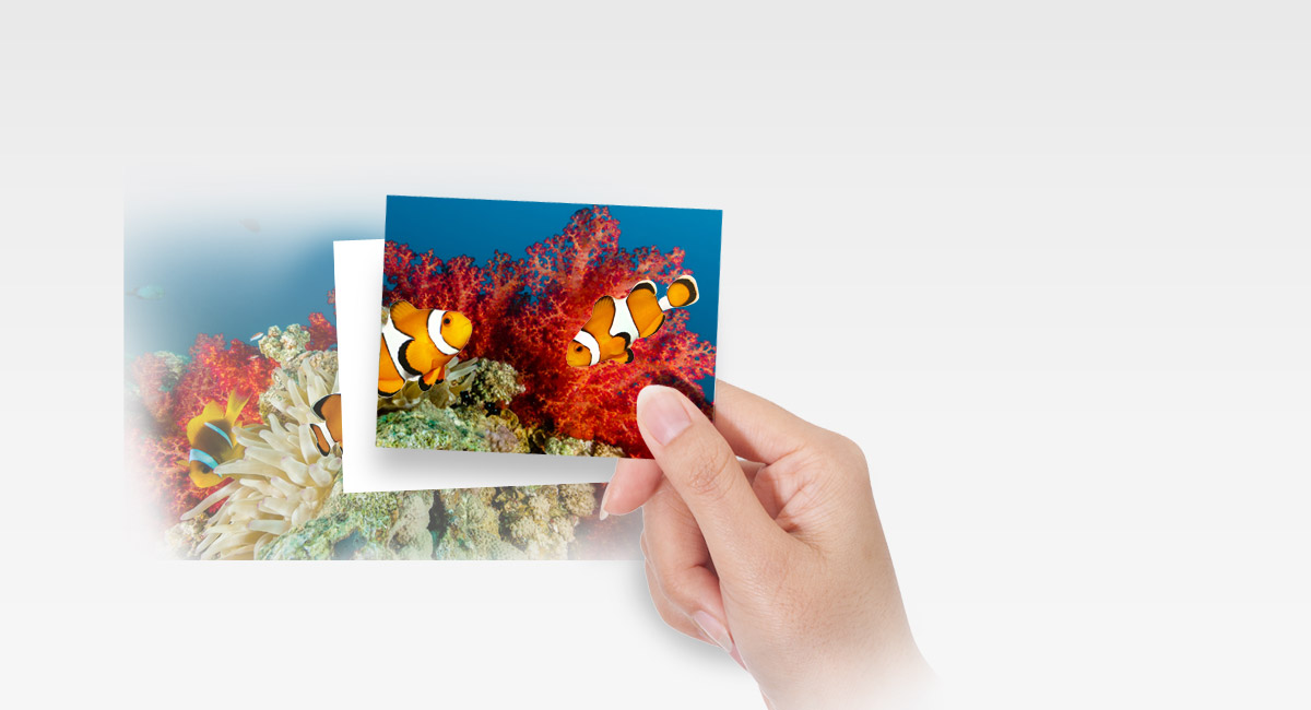 Beautiful
Underwater Shots