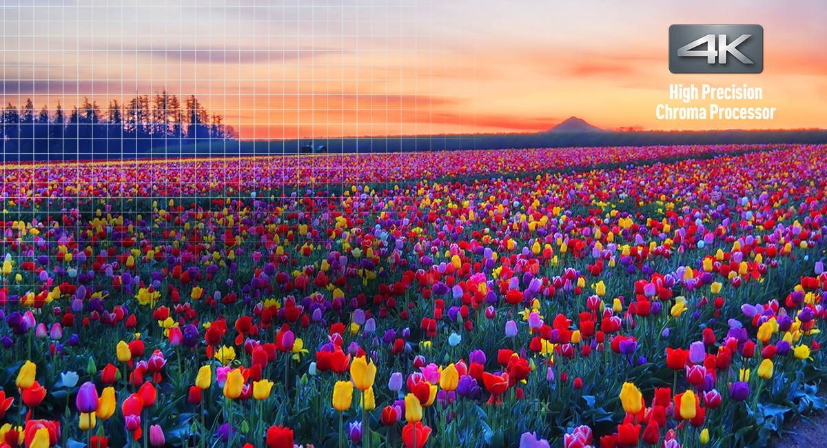 Stunning colour and details