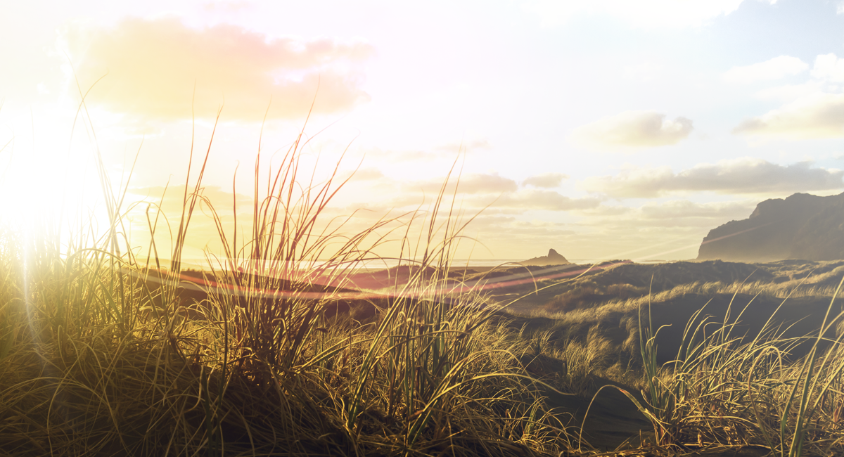 The next evolution in solar energy use