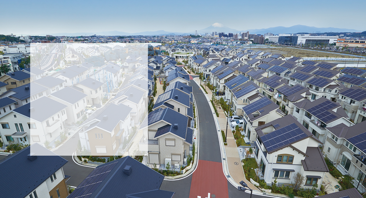 Delivering Value to Distributors