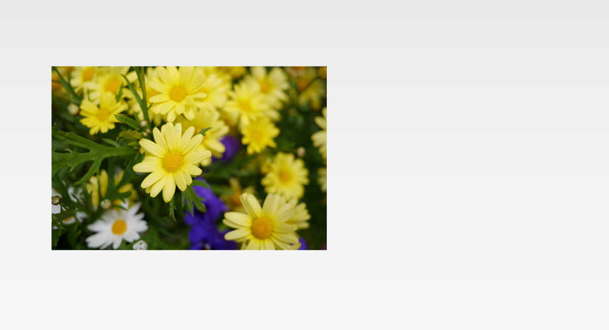 High Speed F1.7 Compact Single Focal Length Lens