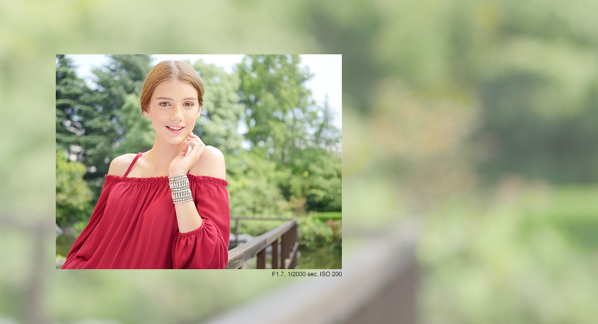 50mm/F1.7
for Basis of Artwork