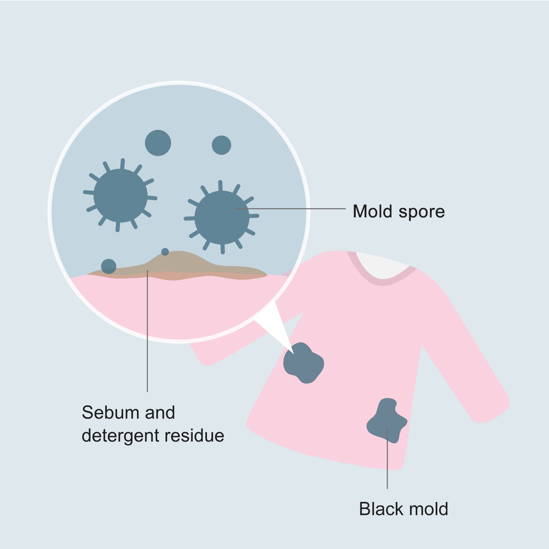 lustration showing black mold on clothes, with a close-up of mould spores and sebum and detergent residue