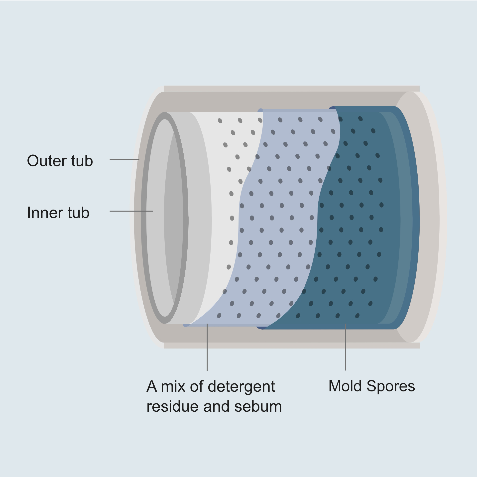 Illustration showing a mix of detergent residue and sebum, and mold spores, between the inner and outer tubs of a washing machine