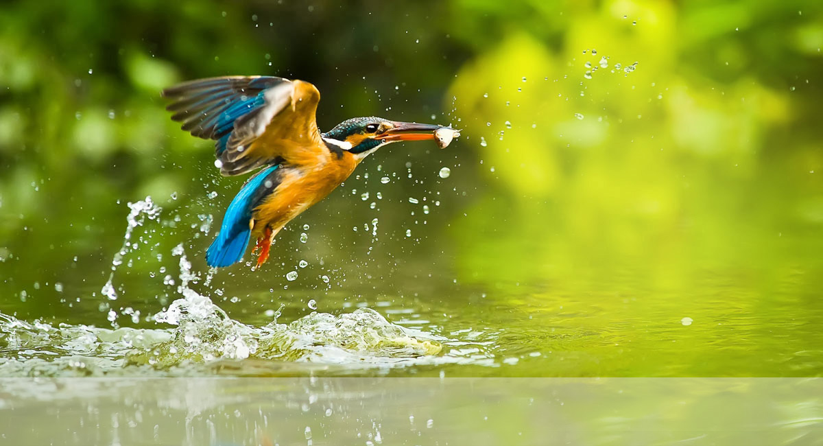 25-600mm med f/2,8 genom hela zoomintervallet
